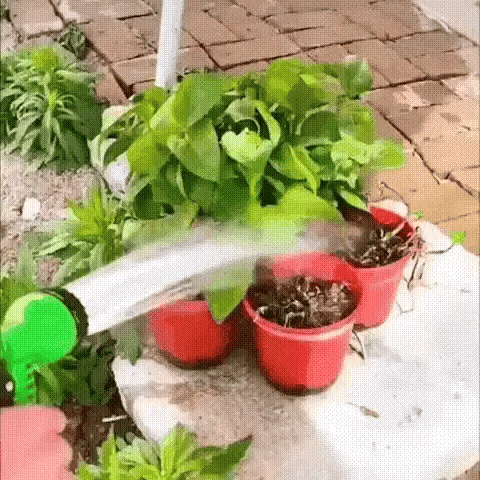 MANGUERA EXPANDIBLE DE 22 METROS 🤩😱 - ENVÍO GRATIS – Labodeguitaexpress